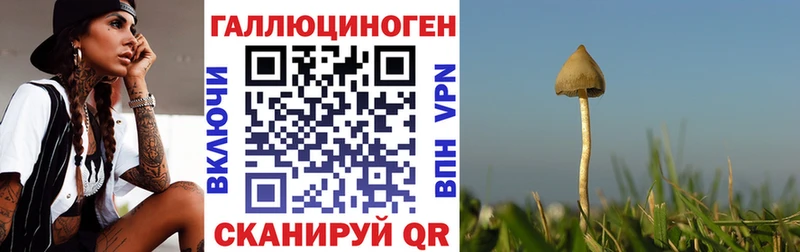 Псилоцибиновые грибы GOLDEN TEACHER  Петров Вал 